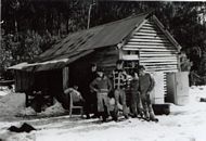 Album: Historic Pictures of the Razorback Huts